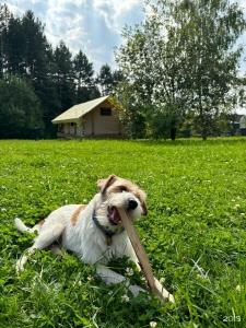 Domiki i doski Tourist base - 64