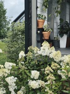 Domiki i doski Tourist base - 66