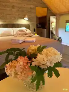 Domiki i doski Tourist base - 72