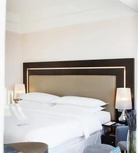 Crowne Plaza - Congress, an IHG - 61