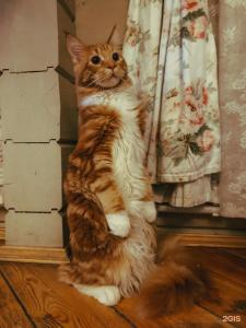 Uralskij Teremok - 96