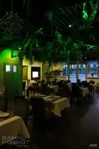 Baikal Forest - 86