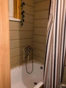 Uralskij Teremok - 139