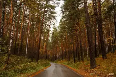 Health Resort Spa-Ingala - 19