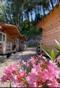 Kottedzhi na Beregu Morya Recreation Center - 10