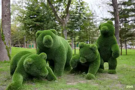 Recreation  center Amursky Zaliv - 29