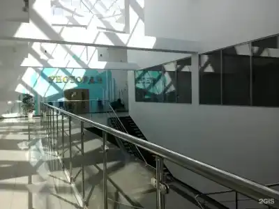 Serebryanaya Mechta - 2
