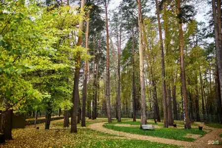 -Profilaktoriy Metallurg Sanatorium - 12