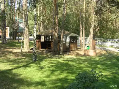 Sanatorium Russkiy bor - 47