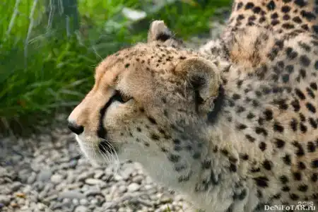 Oktyabrskiy Sanatorium - 15