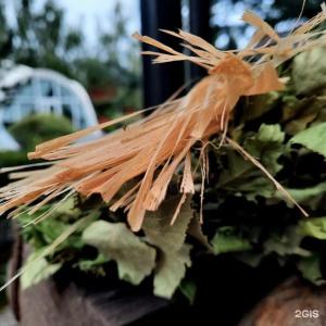 North Star - 52