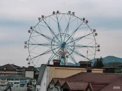 Afalina - 6