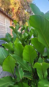 Kottedzhi na Beregu Morya Recreation Center - 17