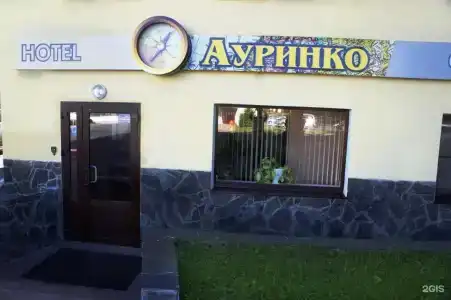 Aurinko - 50