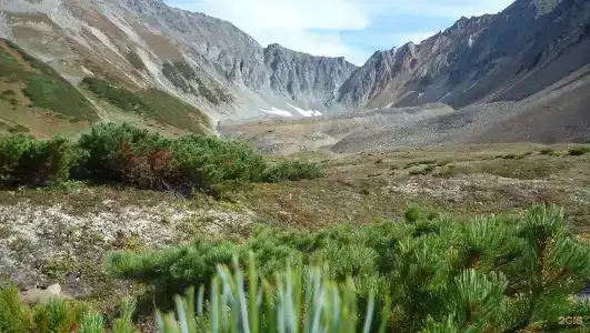 Petropavlovsk - 11