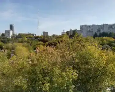 Kruiz - 16