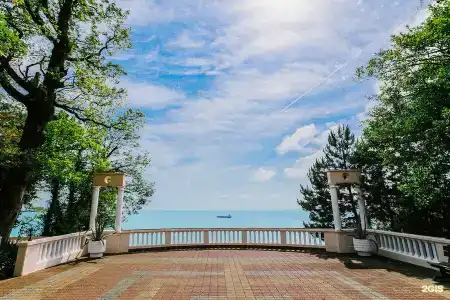 Zelenyij Gaj Sanatorium - 19