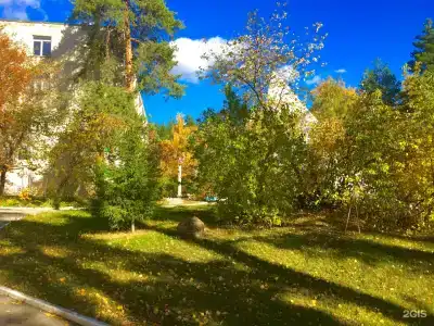 Sanatorium Russkiy bor - 12