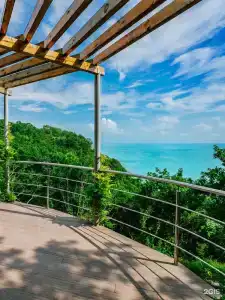 Zelenyij Gaj Sanatorium - 25