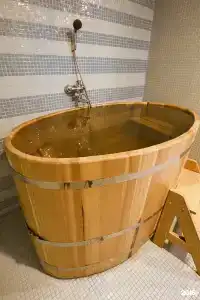 Gostinitsa Royal - 102