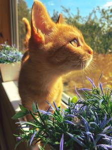 Uralskij Teremok - 23