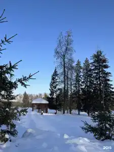 Health Resort Krutushka - 16