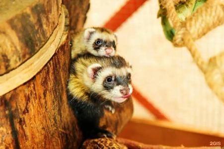 Kottedzhi u ozera - 78