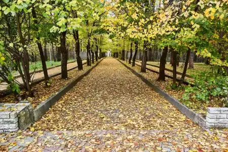 -Profilaktoriy Metallurg Sanatorium - 11