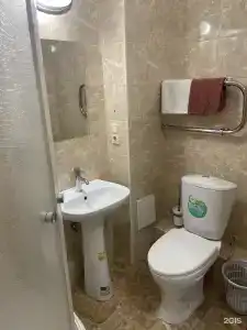 Zvezdochka - 63