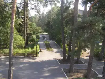 Sanatorium Russkiy bor - 134
