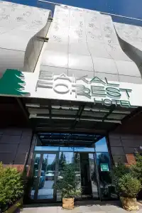 Baikal Forest - 78