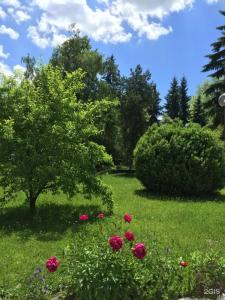 Chajka Sanatorium - 14