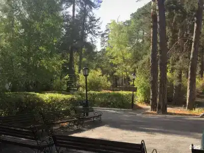 Sanatorium Russkiy bor - 91