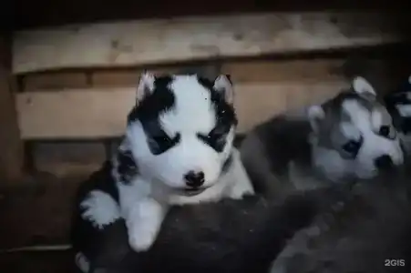 Baza Otdykha Ogni Imandry - 46