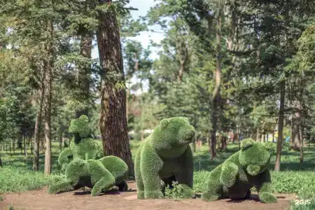 Recreation  center Amursky Zaliv - 23