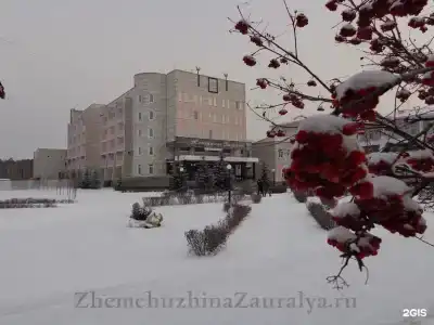 Zhemchuzhina Zauralya - filial AO RZhD-ZDOROVE Sanatorium - 30