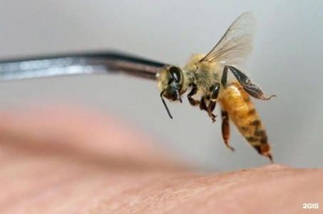 Arkhangelskoye Sanatorium - 75