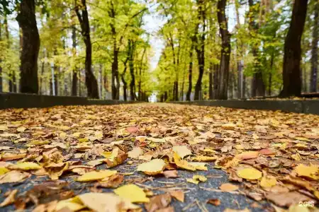 -Profilaktoriy Metallurg Sanatorium - 22