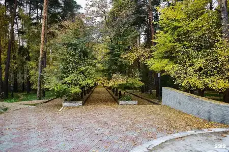 -Profilaktoriy Metallurg Sanatorium - 17