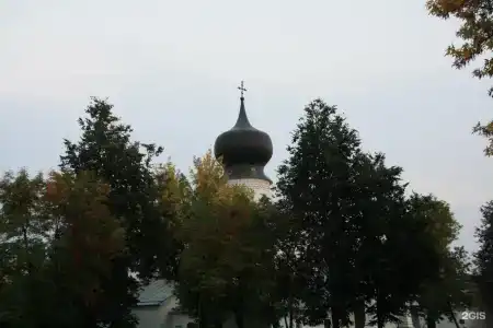 Olginskaya - 81