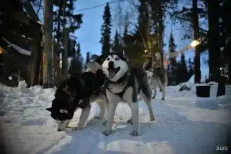 Baza Otdykha Ogni Imandry - 41