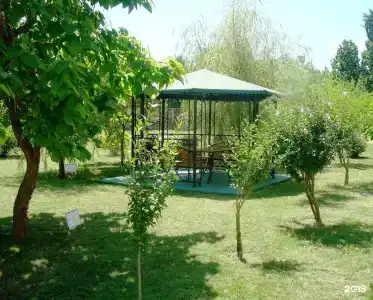 Zvezdochka - 24