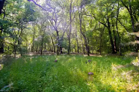 Dolina Narzanov (Zheleznovodsk) - 18