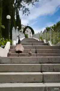 Oktyabrskiy Sanatorium - 10