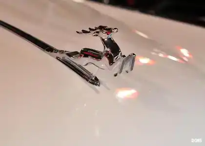 Sssr Otel-Muzei - 49