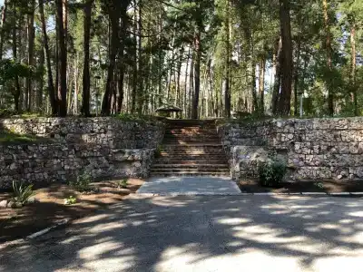 Sanatorium Russkiy bor - 53