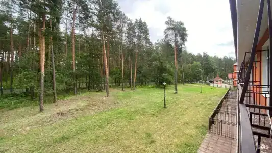 Затишье - 15
