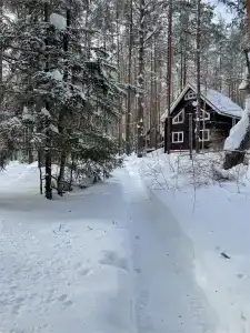 Baza Otdyha Yagodnaya Derevushka - 146