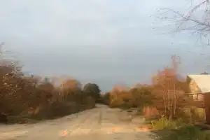 Semeinaya Baza Medvejia Kara, Pasha