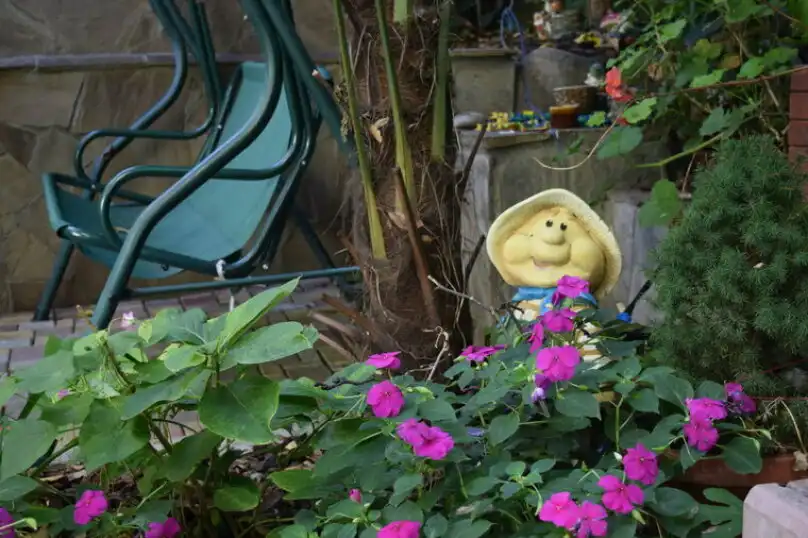 Guest House Viola, Alushta